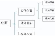 我找到了化石，但这只是误会