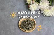 白毫银针白茶价格高昂的原因是什么？如何在购买时避免踩坑？