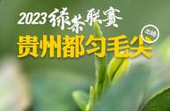 贵天下千元级都匀毛尖：2023绿茶联赛的新评测