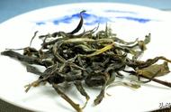 普洱茶的饼茶和散茶有哪些区别？