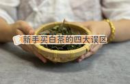 你总是买到烂白茶的原因是什么？新手买茶的四大误区