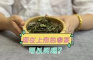 春茶销售时间之谜：为什么有的3月份就开始销售，有的5月份才上市？