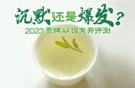 贡牌AA级龙井茶2023年评测：是突然的爆发还是持续的垮塌？