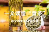 黄茶知识大全：一篇文章让你成为专家