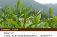 君山银针：如何以典型的黄茶冲泡法来享受茶艺