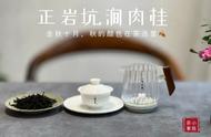 正岩茶的优点和价格解析：一次性告诉你