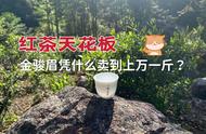 揭秘金骏眉：红茶的顶级品种，为何价格高达上万一斤？