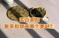 新手选购白茶的困惑：散茶还是饼茶更好？