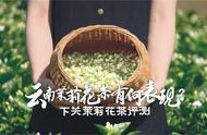 云南下关茉莉花茶：口粮中的战斗机，你试过了吗？