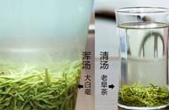 信阳毛尖与商城茶的对比：你知道它们的区别吗？