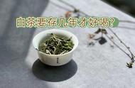 为何老茶客偏爱储存五年的白茶？新茶的味道太青