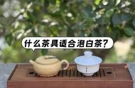 测试结果揭晓：盖碗、紫砂壶、玻璃杯，哪个更适合泡白茶？