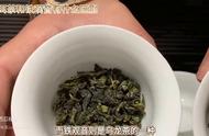 探索普洱茶与铁观音的异同：种类和口感的详细对比