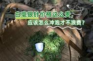 新手泡白茶：白毫银针价格高昂，如何冲泡才能物尽其用？