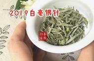 白毫银针白茶：贵但值得，这5个理由让你信服