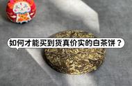 白茶饼挑选秘籍：普通茶客的6大要点