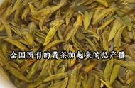 新茶季来临，蒙顶黄芽黄茶等你来尝