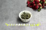 普洱茶与白茶：新白茶和生普，老白茶和熟普，你怎么看？