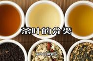 茶叶大师陈宗懋：深入解析各类茶叶