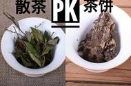 茶饼VS散茶：对比实验告诉你哪个更好！