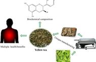 探索黄茶：功能性成分与健康功效前沿研究