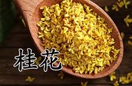 养生新宠：桂花茶助你促进肠胃健康