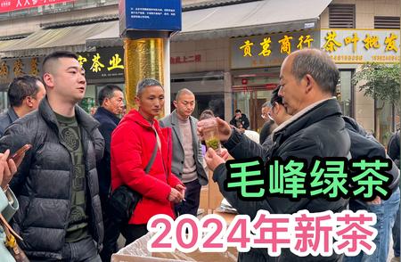 独家定制：2024年毛峰绿茶，性价比与小嫩芽的完美融合！