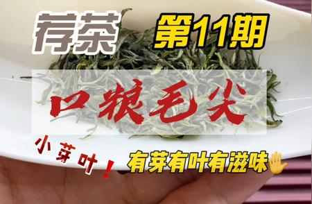 品味正宗，信阳毛尖口粮茶推荐