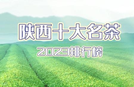 探寻陕西茶文化的瑰宝：十大名茶排行榜（2023）