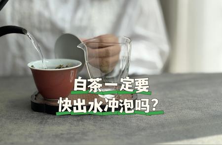 揭秘白茶冲泡奥秘：出水时间影响茶香？