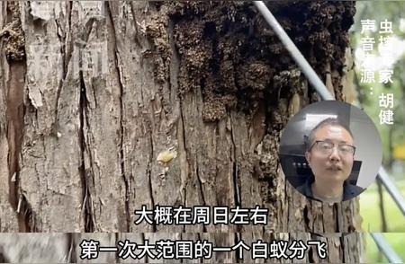 专家警告：本周末可能大范围爆发，我们必须警惕！