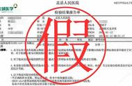 警惕！核酸报告也能造假？央视网评为您揭示真相