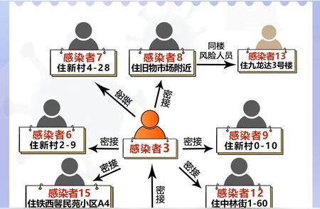 大庆市本轮疫情传播路径解析