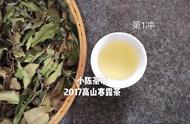 新手如何泡好白茶？4个简单步骤教你成为泡茶高手